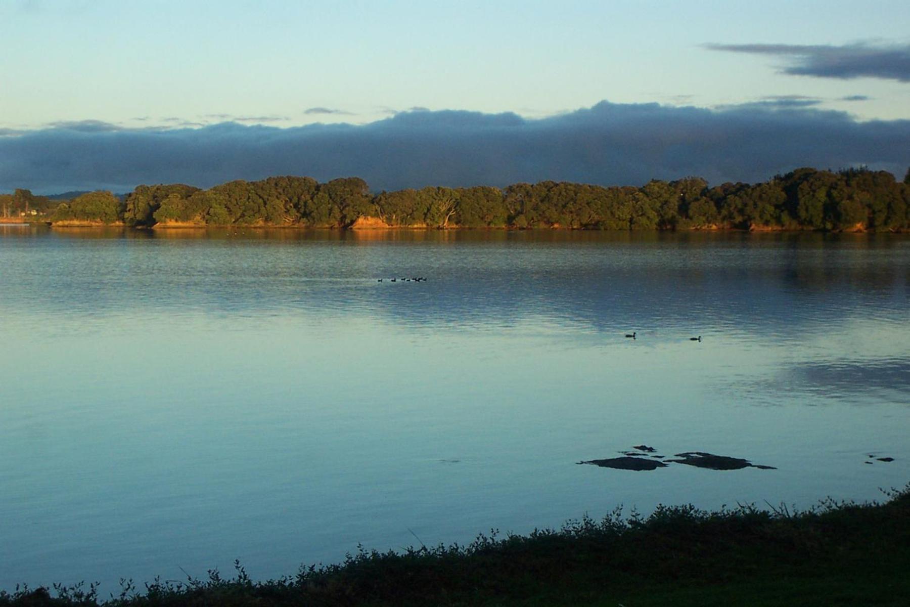 Absolute Waterfront Serenity Near Auckland Clarks Beach Kültér fotó